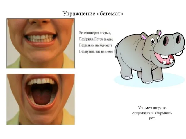 Упражнение «бегемот» Учимся широко открывать и закрывать рот.