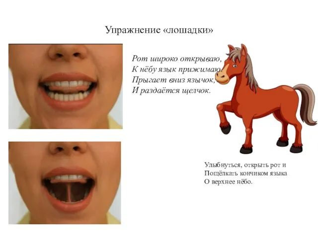 Упражнение «лошадки» Рот широко открываю, К нёбу язык прижимаю. Прыгает вниз язычок, И