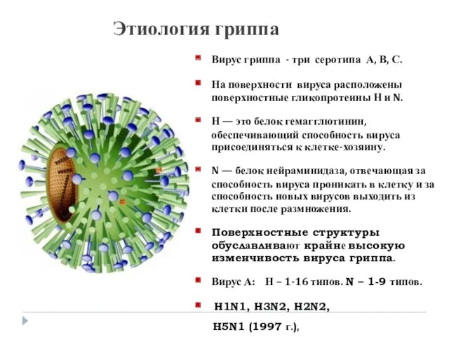Этиология гриппа Вирус гриппа - три серотипа А, В, С.