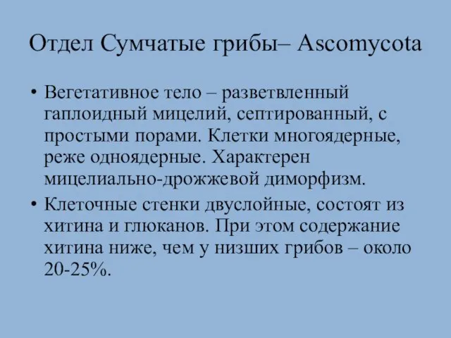 Отдел Сумчатые грибы– Ascomycota Вегетативное тело – разветвленный гаплоидный мицелий,