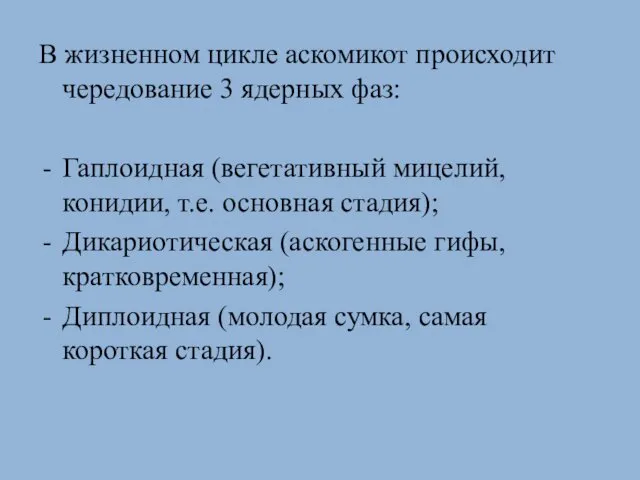 В жизненном цикле аскомикот происходит чередование 3 ядерных фаз: Гаплоидная