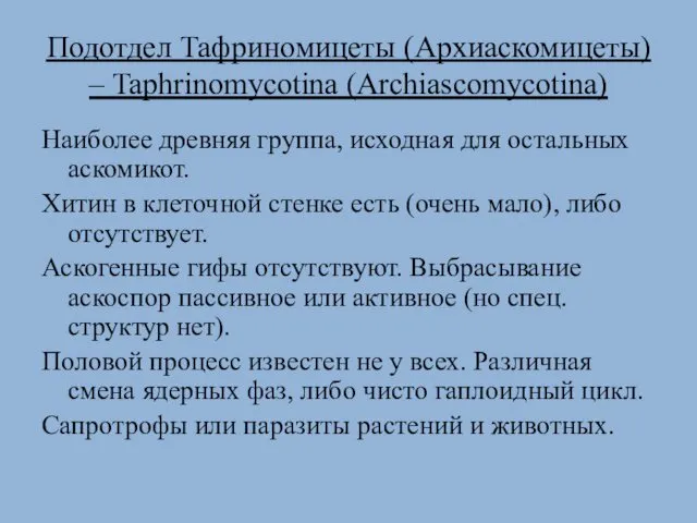 Подотдел Тафриномицеты (Архиаскомицеты) – Taphrinomycotina (Archiascomycotina) Наиболее древняя группа, исходная