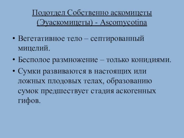 Подотдел Собственно аскомицеты (Эуаскомицеты) - Ascomycotina Вегетативное тело – септированный