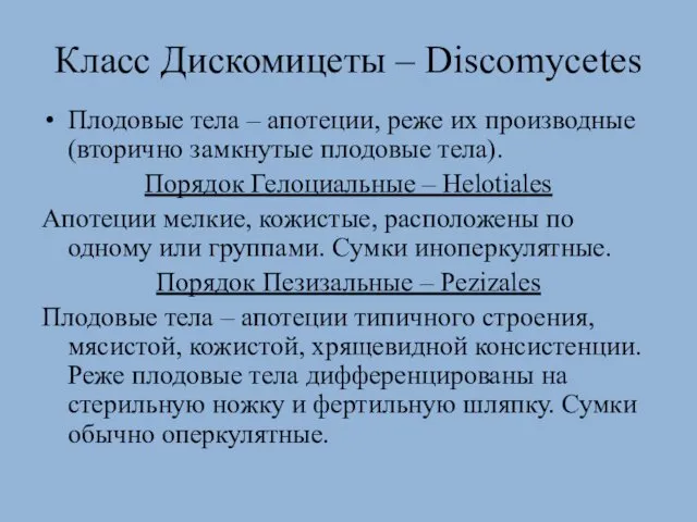 Класс Дискомицеты – Discomycetes Плодовые тела – апотеции, реже их