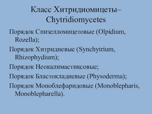 Класс Хитридиомицеты– Chytridiomycetes Порядок Спизелломицетовые (Olpidium, Rozella); Порядок Хитридиевые (Synchytrium,