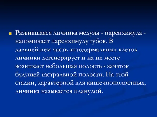 Развившаяся личинка медузы - паренхимула - напоминает паренхимулу губок. В