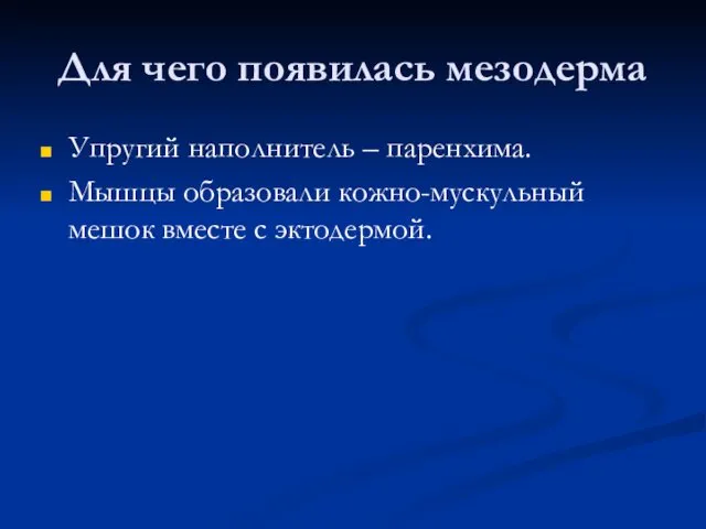 Для чего появилась мезодерма Упругий наполнитель – паренхима. Мышцы образовали кожно-мускульный мешок вместе с эктодермой.