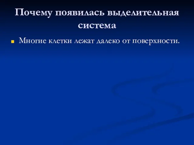 Почему появилась выделительная система Многие клетки лежат далеко от поверхности.