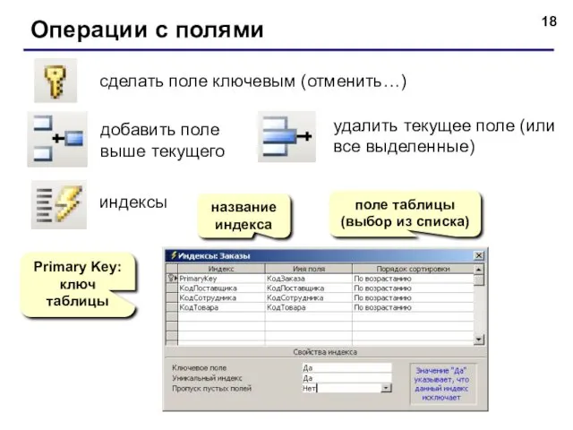 Операции с полями сделать поле ключевым (отменить…) добавить поле выше