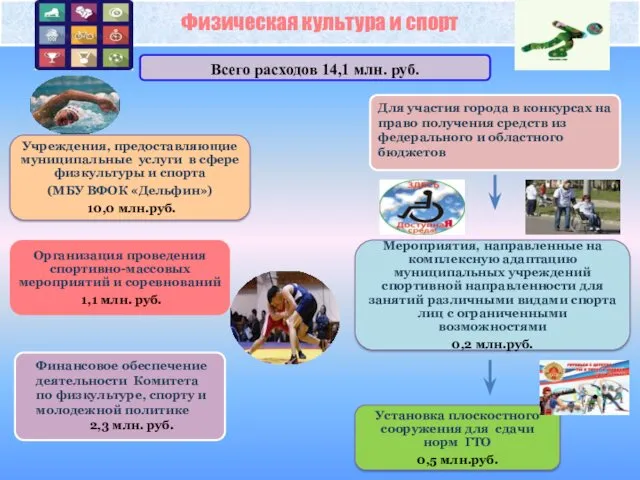 Физическая культура и спорт Всего расходов 14,1 млн. руб. Финансовое