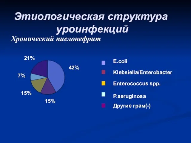 Этиологическая структура уроинфекций E.coli Klebsiella/Enterobacter Enterococcus spp. P.aeruginosa Другие грам(-)