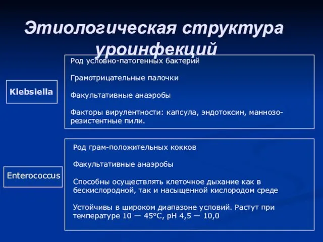 Этиологическая структура уроинфекций Klebsiella Род условно-патогенных бактерий Грамотрицательные палочки Факультативные