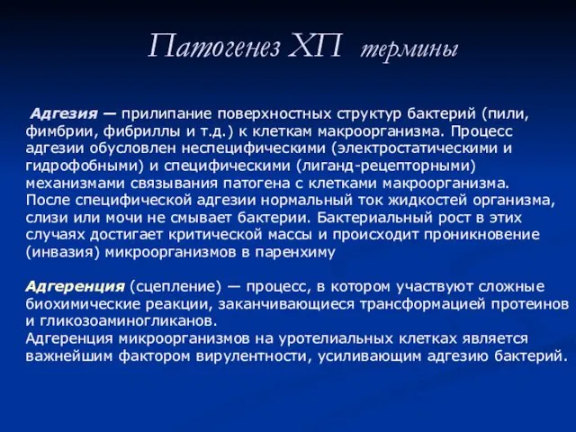 Патогенез ХП термины Адгезия — прилипание поверхностных структур бактерий (пили,