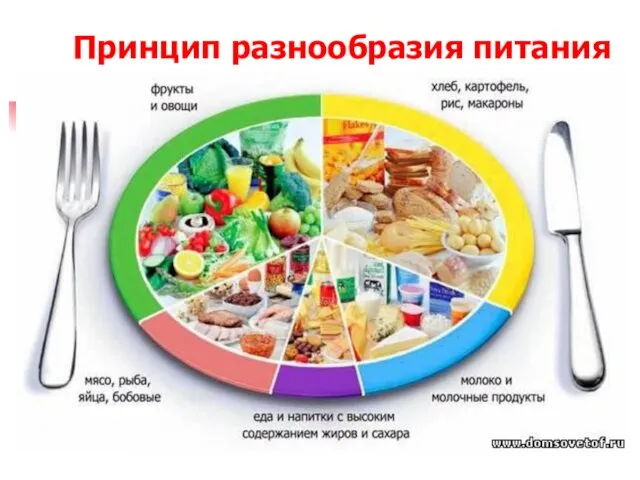 Принцип разнообразия питания