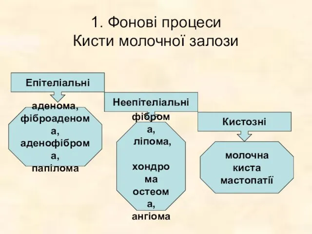 1. Фонові процеси Кисти молочної залози Епітеліальні Неепітеліальні Кистозні аденома,