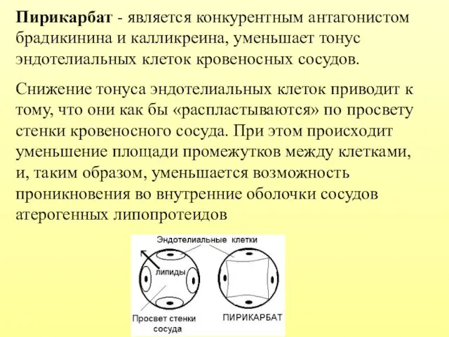 Пирикарбат - является конкурентным антагонистом брадикинина и калликреина, уменьшает тонус