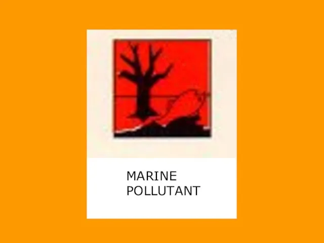 MARINE POLLUTANT