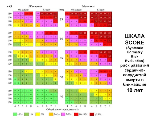 ШКАЛА SCORE (Systemic Coronary Risk Evaluation) риск развития сердечно- сосудистой смерти в ближайшие 10 лет