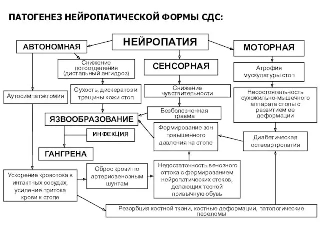 ПАТОГЕНЕЗ НЕЙРОПАТИЧЕСКОЙ ФОРМЫ СДС: