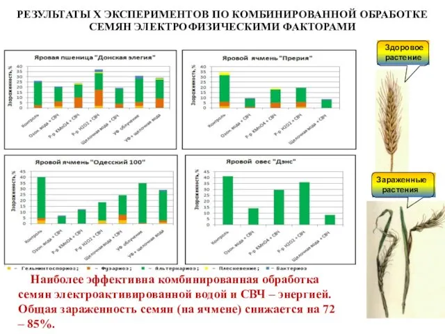 РЕЗУЛЬТАТЫ Х ЭКСПЕРИМЕНТОВ ПО КОМБИНИРОВАННОЙ ОБРАБОТКЕ СЕМЯН ЭЛЕКТРОФИЗИЧЕСКИМИ ФАКТОРАМИ Здоровое