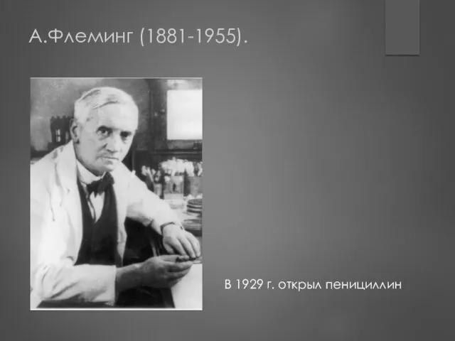 А.Флеминг (1881-1955). В 1929 г. открыл пенициллин