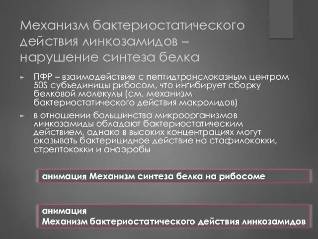 Механизм бактериостатического действия линкозамидов – нарушение синтеза белка ПФР –