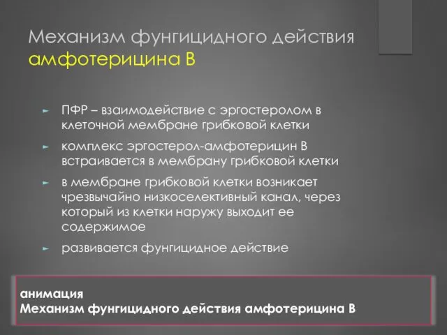 Механизм фунгицидного действия амфотерицина B ПФР – взаимодействие с эргостеролом