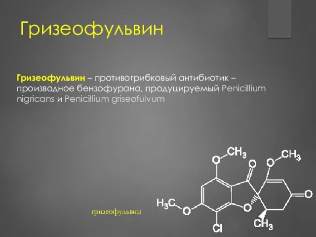 Гризеофульвин Гризеофульвин – противогрибковый антибиотик – производное бензофурана, продуцируемый Penicillium nigricans и Penicillium griseofulvum гризеофульвин