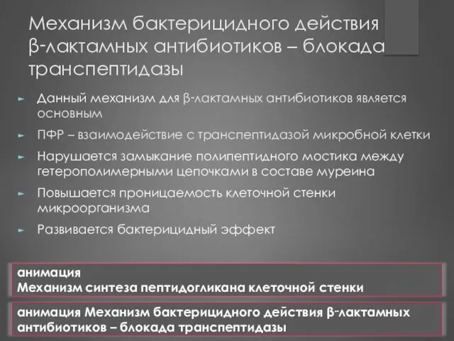 Механизм бактерицидного действия β‑лактамных антибиотиков – блокада транспептидазы Данный механизм