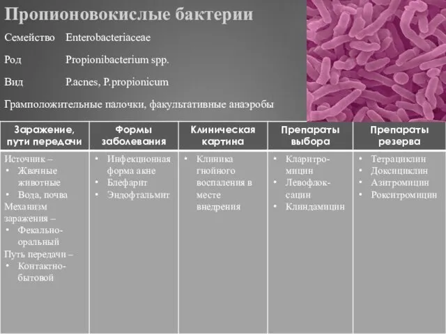 Пропионовокислые бактерии