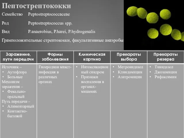 Пептострептококки