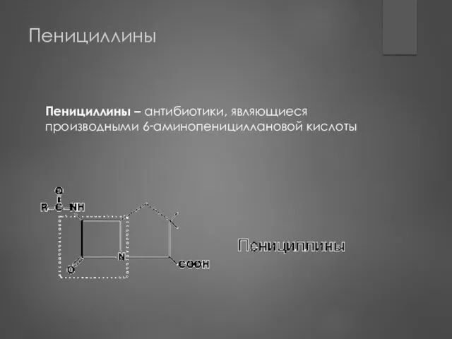 Пенициллины Пенициллины – антибиотики, являющиеся производными 6‑аминопенициллановой кислоты