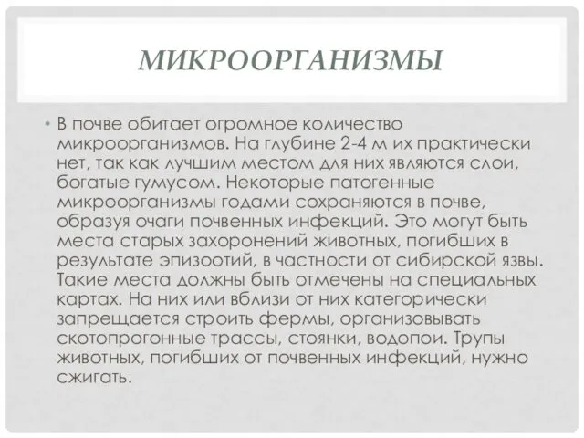 МИКРООРГАНИЗМЫ В почве обитает огромное количество микроорганизмов. На глубине 2-4