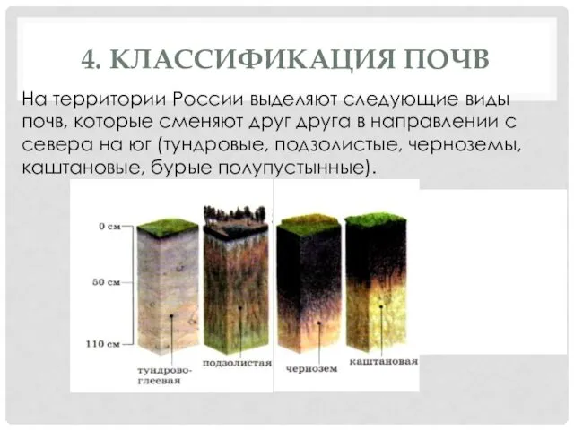 4. КЛАССИФИКАЦИЯ ПОЧВ На территории России выделяют следующие виды почв,