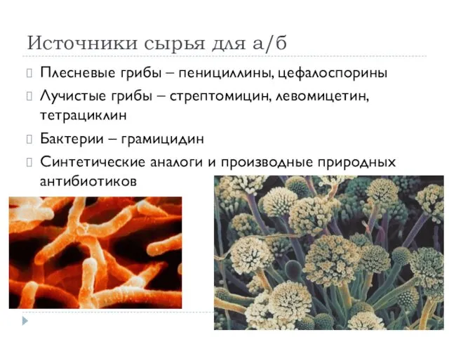 Источники сырья для а/б Плесневые грибы – пенициллины, цефалоспорины Лучистые