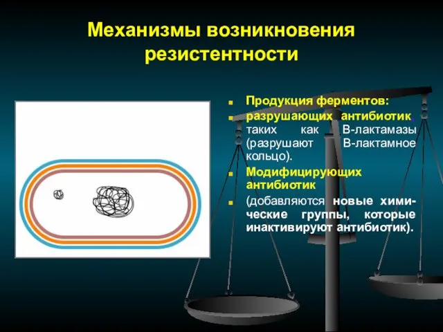 Механизмы возникновения резистентности Продукция ферментов: разрушающих антибиотик, таких как B-лактамазы