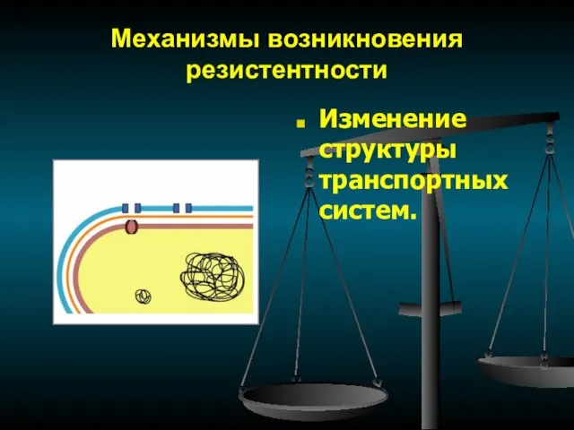 Механизмы возникновения резистентности Изменение структуры транспортных систем.