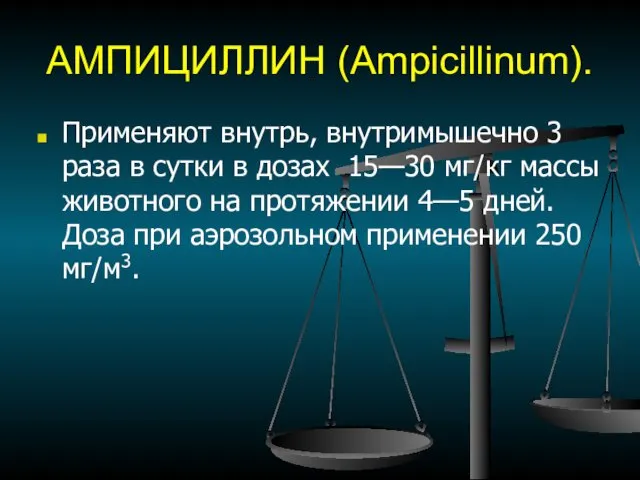 АМПИЦИЛЛИН (Ampicillinum). Применяют внутрь, внутримышечно 3 раза в сутки в