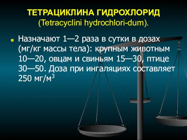 ТЕТРАЦИКЛИНА ГИДРОХЛОРИД (Tetracyclini hydrochlori-dum). Назначают 1—2 раза в сутки в