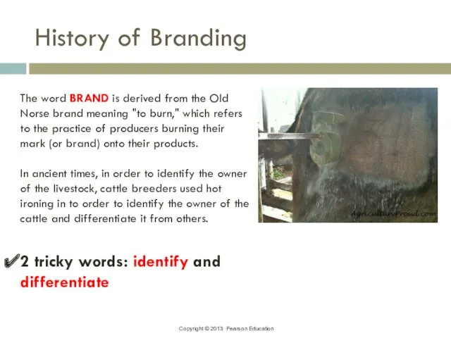 History of Branding The word BRAND is derived from the