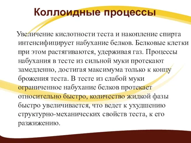 Коллоидные процессы Увеличение кислотности теста и накопление спирта интенсифицирует набухание