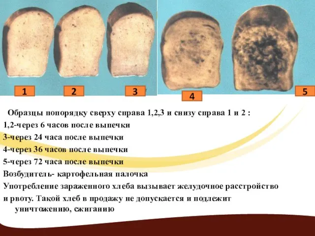 Образцы попорядку сверху справа 1,2,3 и снизу справа 1 и