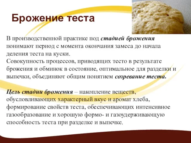 Брожение теста В производственной практике под стадией брожения понимают период