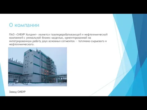 О компании ПАО «СИБУР Холдинг» является газоперерабатывающей и нефтехимической компанией