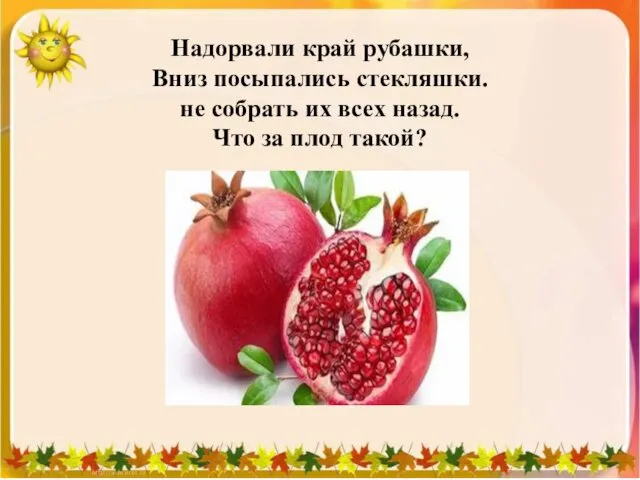 Надорвали край рубашки, Вниз посыпались стекляшки. не собрать их всех назад. Что за плод такой?