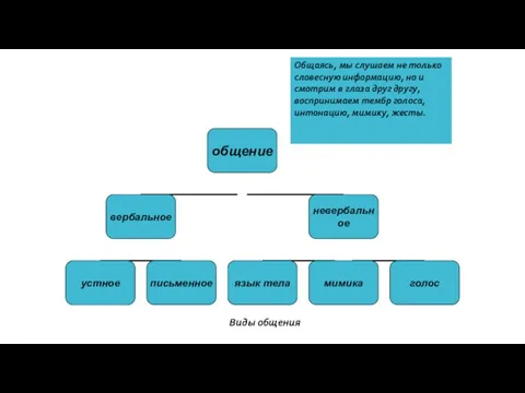 Виды общения Общаясь, мы слушаем не только словесную информацию, но и смотрим в
