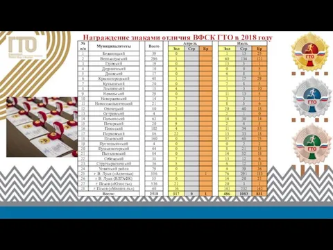 Награждение знаками отличия ВФСК ГТО в 2018 году