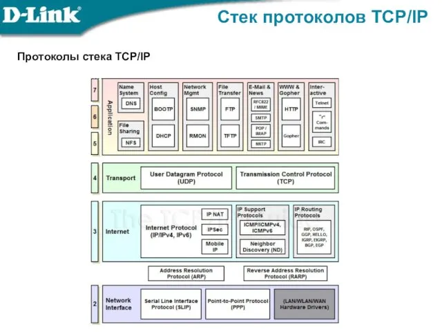 Стек протоколов TCP/IP Протоколы стека TCP/IP