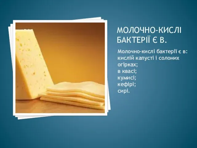 МОЛОЧНО-КИСЛІ БАКТЕРІЇ Є В. Молочно-кислі бактерії є в: кислій капусті