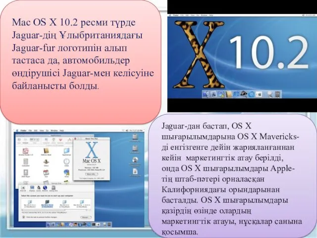 Mac OS X 10.2 ресми түрде Jaguar-дің Ұлыбританиядағы Jaguar-fur логотипін